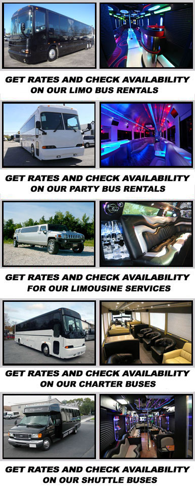 palm coast Party Buses