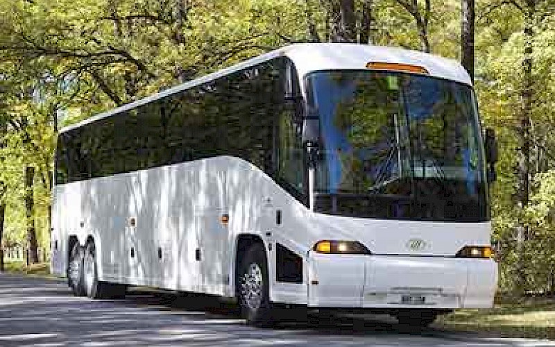 bus tours from rapid city sd
