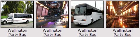 Wellington Party bus